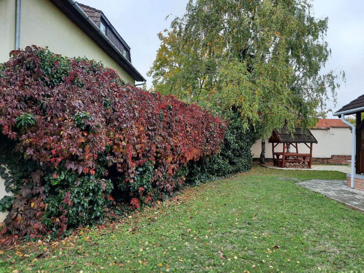 Livia Apartman Hévíz 外观 照片